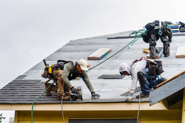 Professional Roofing technician working in Walterville, OR